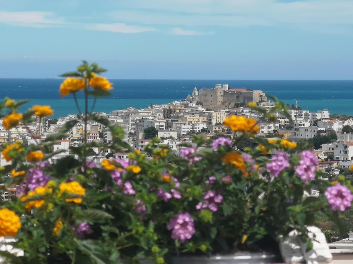 Villa Arenella Βιέστε Εξωτερικό φωτογραφία