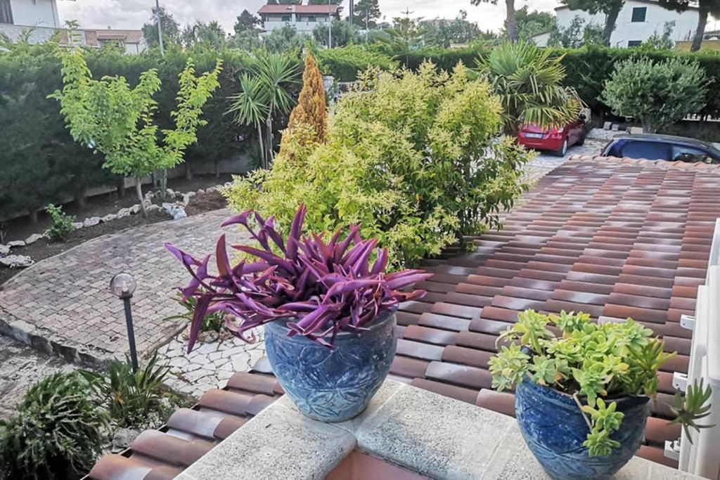 Villa Arenella Βιέστε Εξωτερικό φωτογραφία