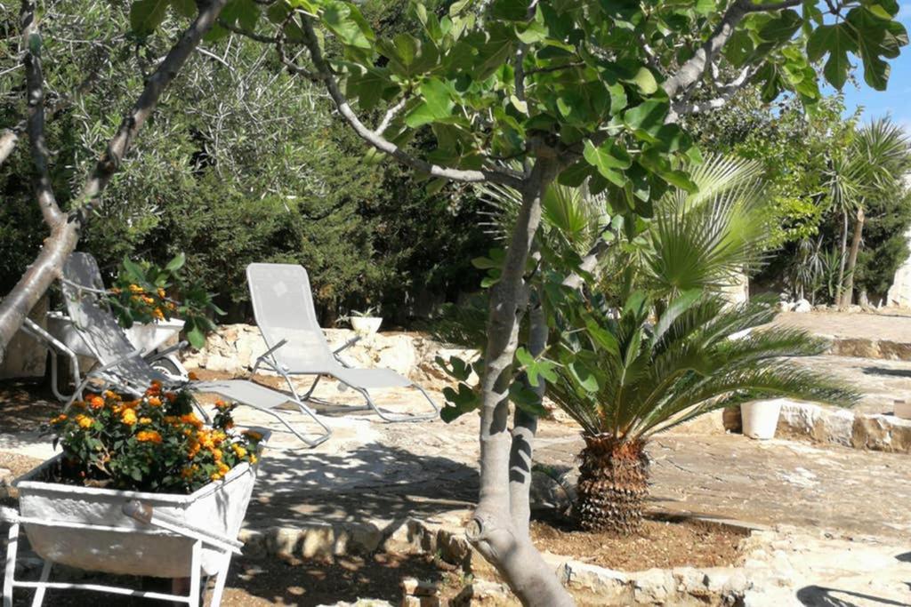 Villa Arenella Βιέστε Εξωτερικό φωτογραφία