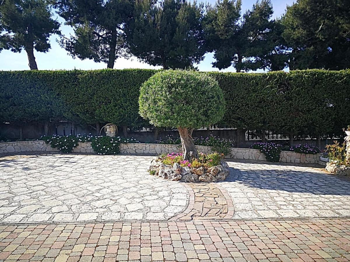 Villa Arenella Βιέστε Εξωτερικό φωτογραφία